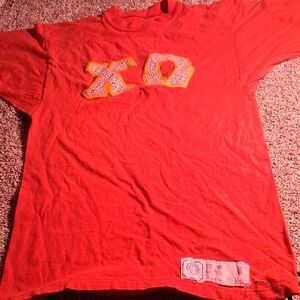 VINTAGE 1970s woman's MEDIUM sorority pledge shirt for "ROBIN"